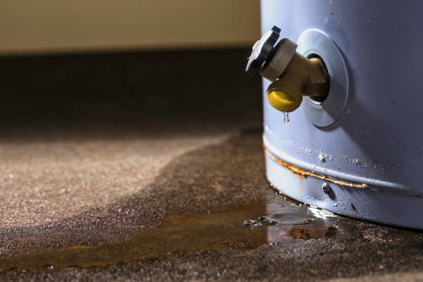 Best Water damage contractors near me  in Quincy, MA