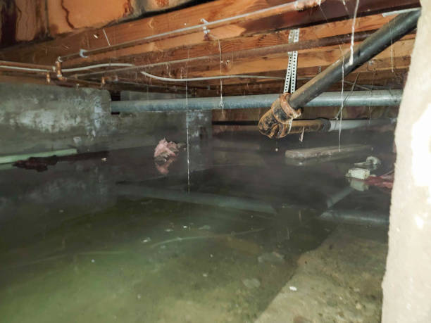 Best Emergency water damage restoration  in Quincy, MA