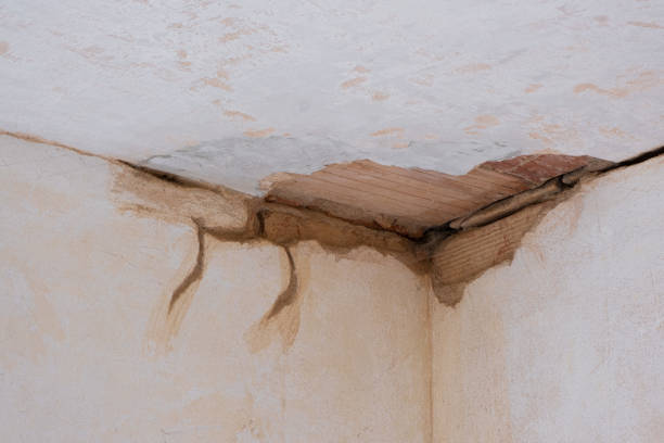 Best Water damage cleanup near me  in Quincy, MA