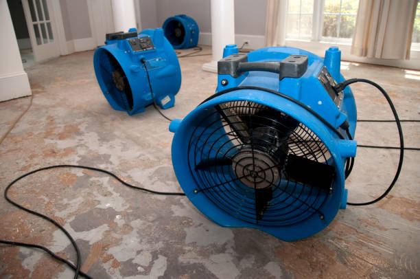 Best Water damage restoration near me  in Quincy, MA