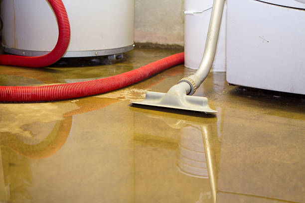 Best Water damage restoration near me  in Quincy, MA