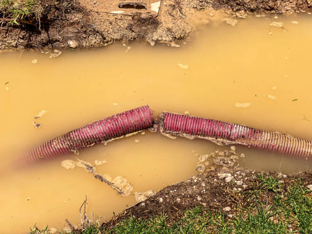 Best Flood damage cleanup  in Quincy, MA